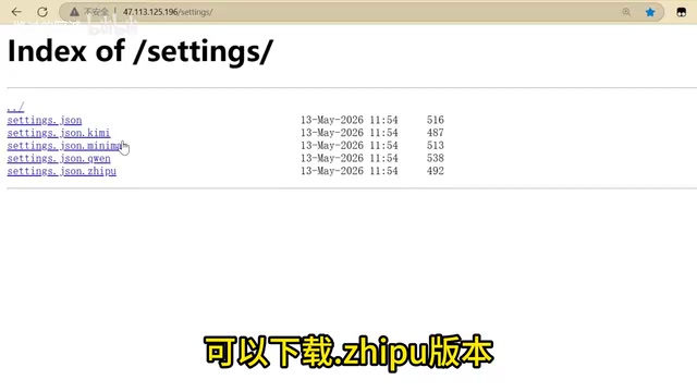 settings.json下载注意事项