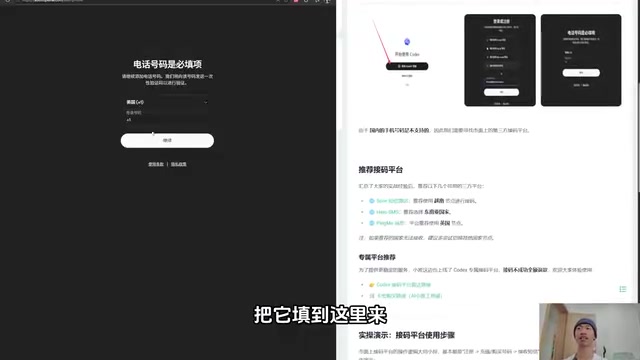 Codex号码验证页面