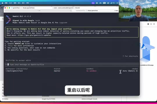 Gemini CLI启动成功界面