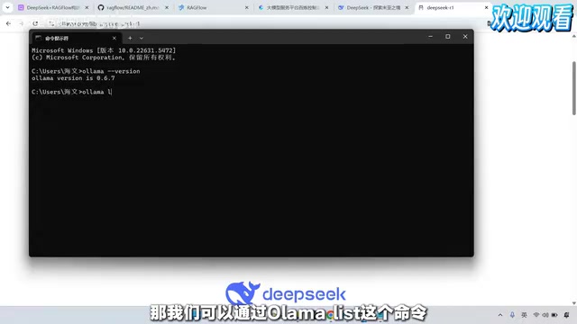 Ollama已下载的模型列表