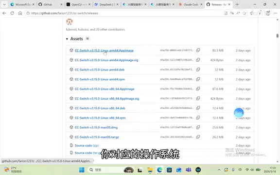 Claude Code接入DeepSeek V4完整教程:CC Switch配置指南