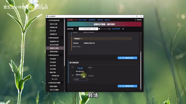 以及是否添加随机放大