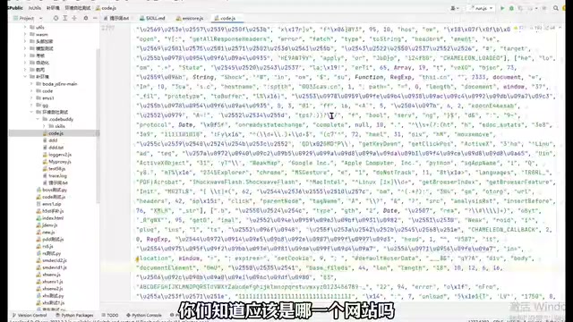 目标JS文件的环境检测报错
