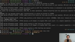 TensorFlow导出ONNX无需dummy data
