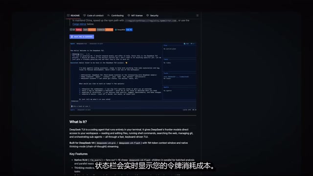 实时Token消耗和成本显示