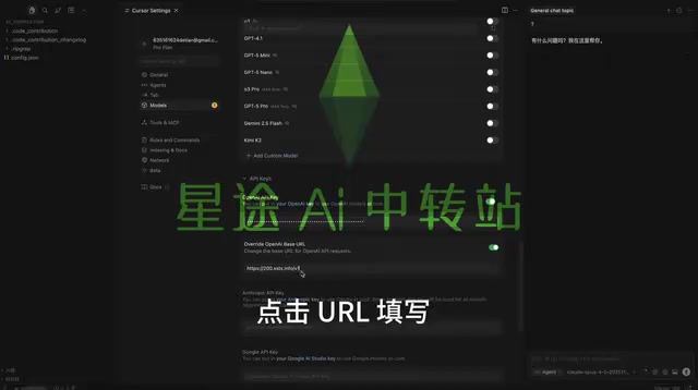 APL Key填写我们购买时的密钥