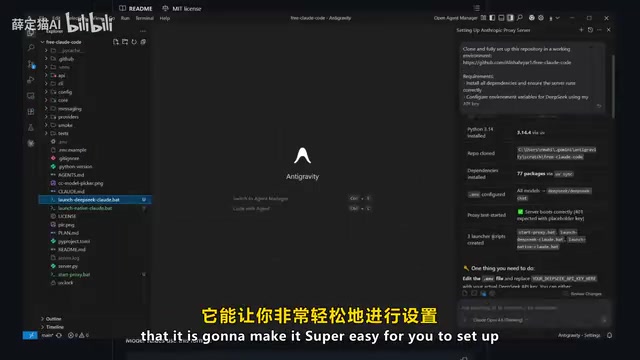 Antigravity 配置界面