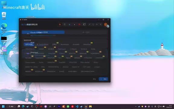 CC Switch配置窗口