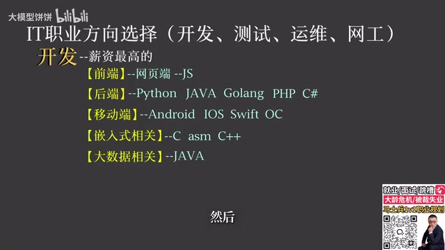 开发方向语言分布