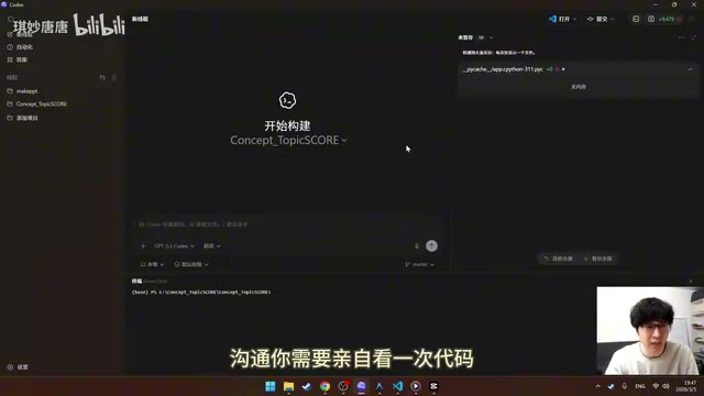 实际对话体验
