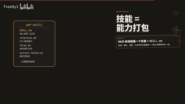 Agent Skills的目录结构