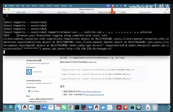 Browser Use 配置与运行