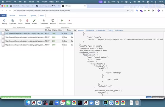 Browser Use 结构化返回机制