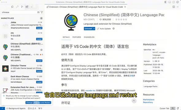 安装中文插件