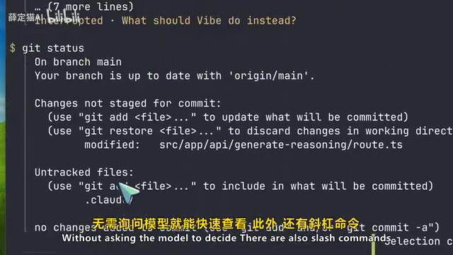 Vibe 斜杠命令与交互方式