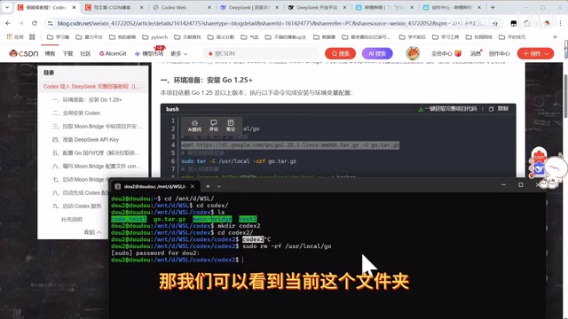 Codex接入DeepSeek完整部署教程:国内免翻墙稳定使用