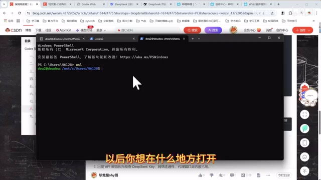 Codex启动界面