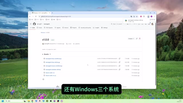 下载与环境准备