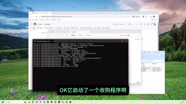 Server启动成功