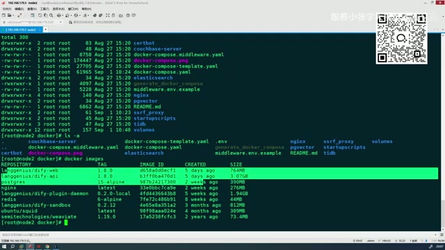 Docker镜像信息