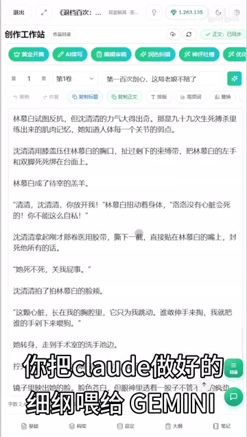 喂给Gemini告诉他