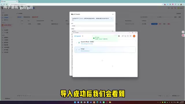 CC Switch中导入的API信息