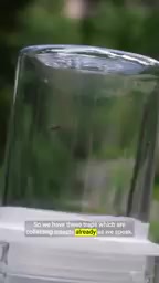 昆虫捕集器将运行至八月底