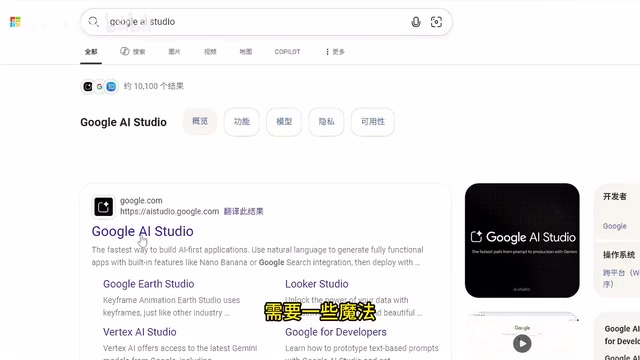 Google AI Studio 平台界面