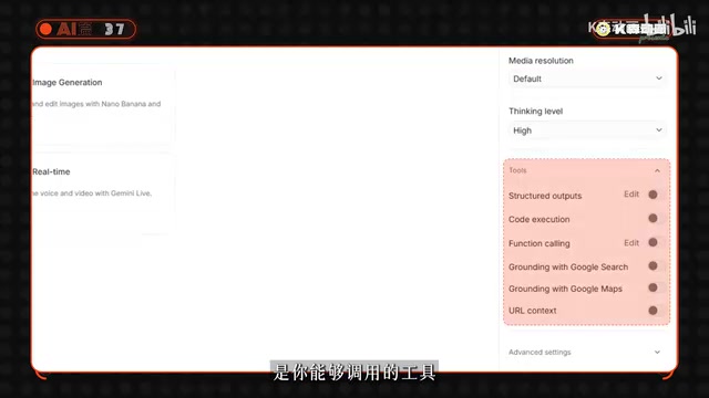 Google AI Studio工具设置面板