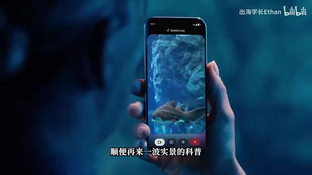 摄像头实时识别功能