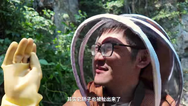 Cliff Honey Hunters and Nomadic Beekeepers: Ancient Professions on the Verge of Disappearing