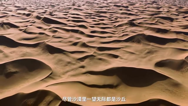 1.8 Million Trees Were Planted in the Tengger Desert — Then What Happened?