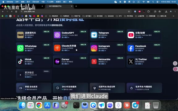 Logging into the SMS receiving platform