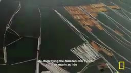 How Global Criminal Networks Operate: The Dark Supply Chains from the Amazon to Cyber Extortion