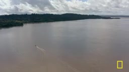 Aerial view of illegal gold mines in the Amazon