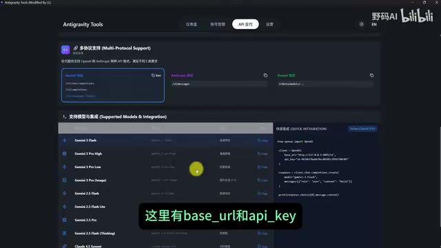 API面板中的BaseURL和API Key信息