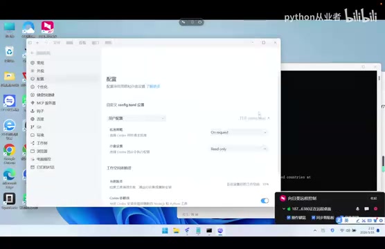 Codex配置文件