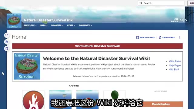 Gemini开发过程中的参考资料和Wiki策略