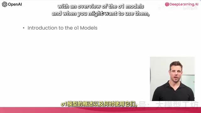 O1 model use cases