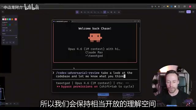 对抗性审查示意