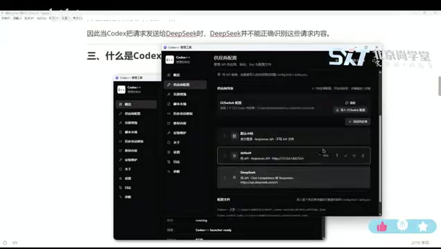 Codex++ provider configuration interface