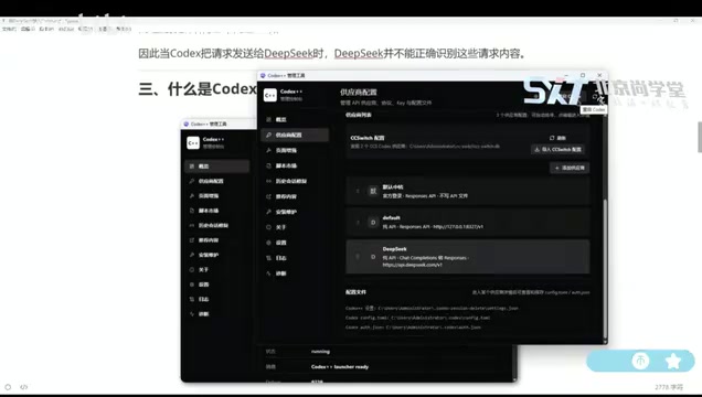 Launching Codex through Codex++
