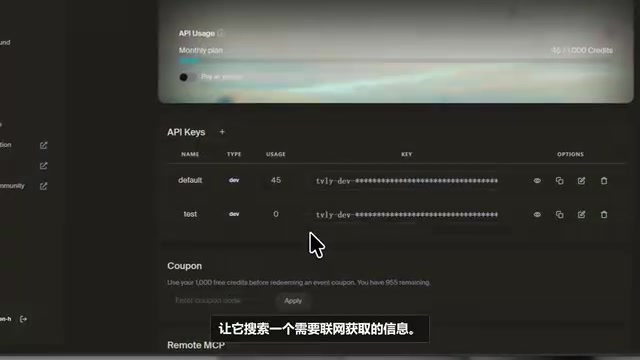 Web search tool calling process
