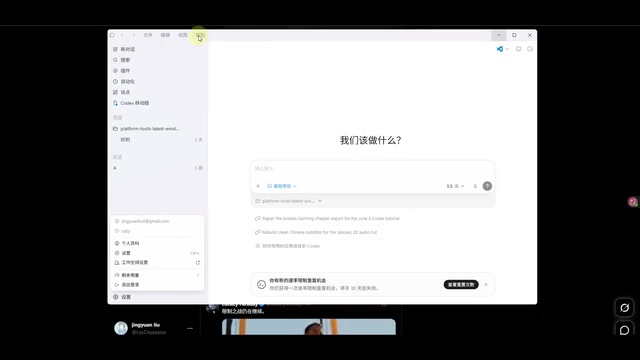 Codex版本信息