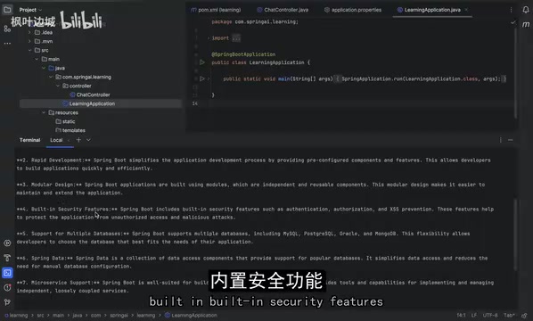 Interacting with the Gemma model in the terminal