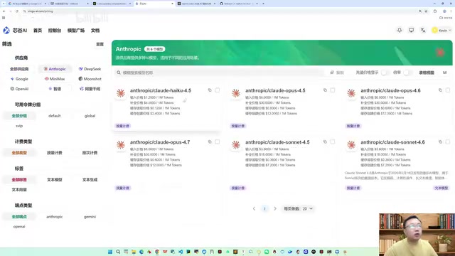 模型接入说明
