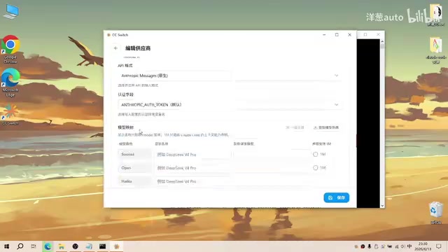 CC Switch custom configuration interface