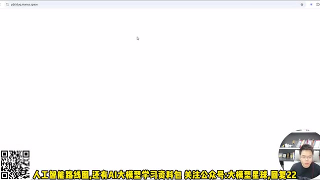 Manus生成的特斯拉分析Dashboard