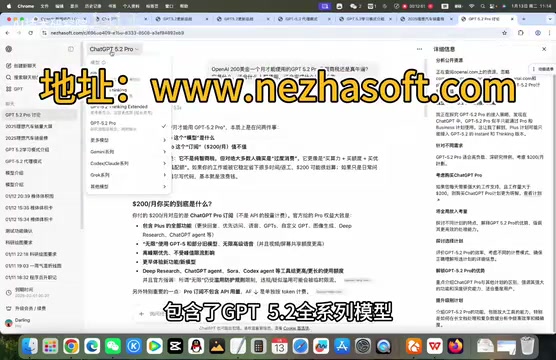 支持的模型系列一览