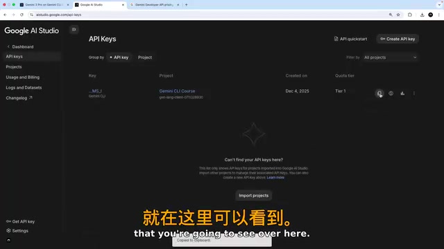 API 密钥创建页面